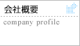 会社概要　company　profile